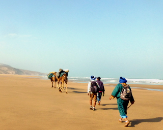 Dromedarkarawane bei Essaouira