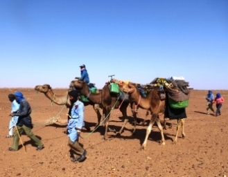 Wandertouren mit Dromedaren auch für Kleingruppen